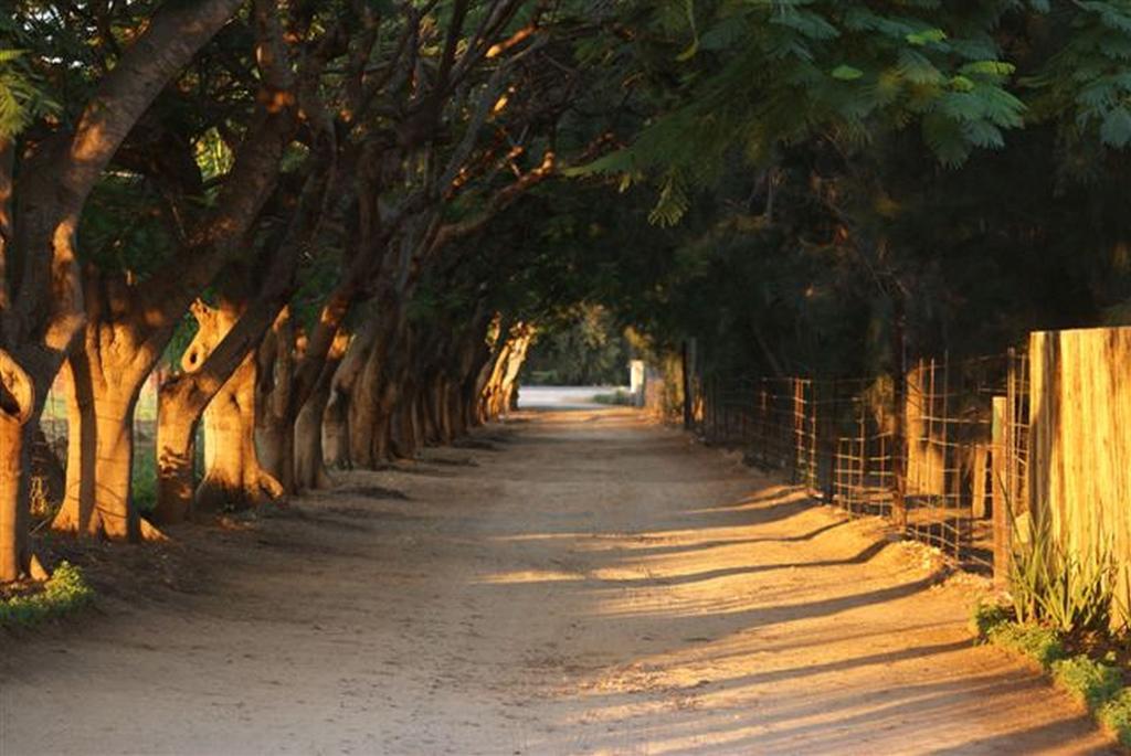 Blyde Mountain Country House Hoedspruit Buitenkant foto
